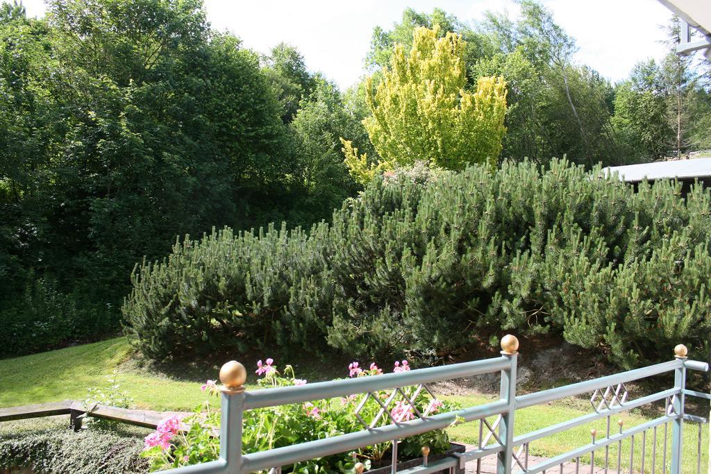 Landhaus Kramer Willingen  Pokój zdjęcie